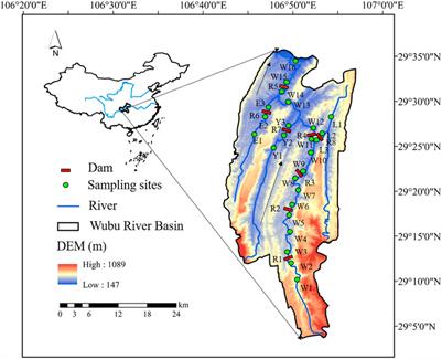 Spatiotemporal Variability of the Nitrous Oxide Concentrations and Fluxes From a Cascaded Dammed River